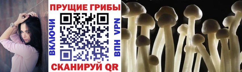 Псилоцибиновые грибы Magic Shrooms  где купить наркотик  mega ССЫЛКА  Маркс 